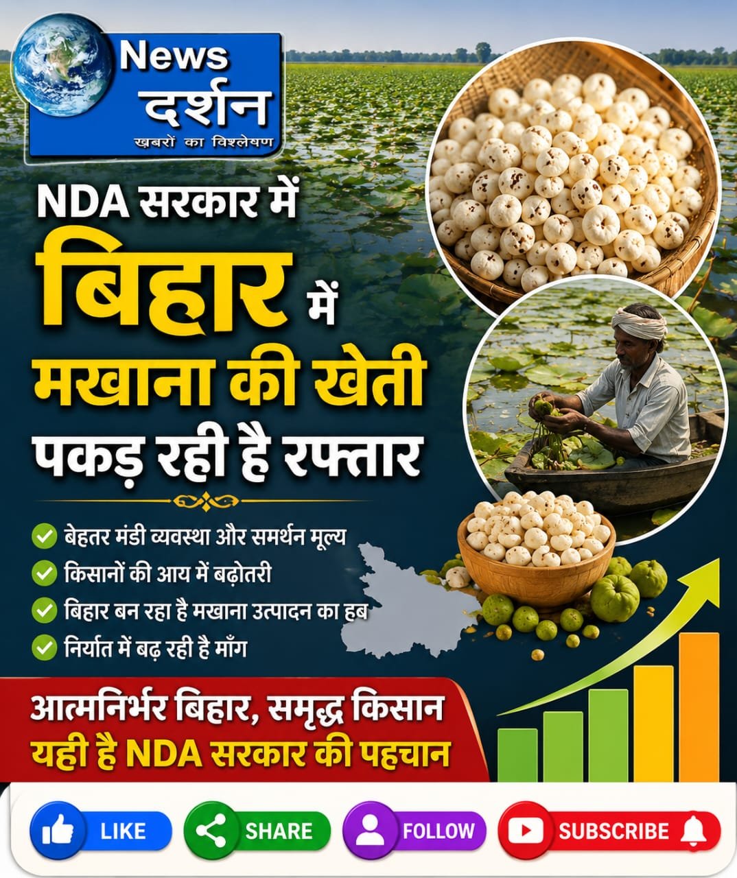 NDA सरकार में बिहार में मखाना की खेती पकड़ रही है रफ्तार